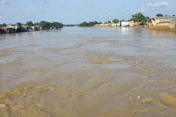 ستمبر کے ستم گر